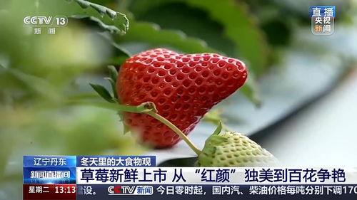 国产草莓视频,视频带你领略田园风光与美味果实